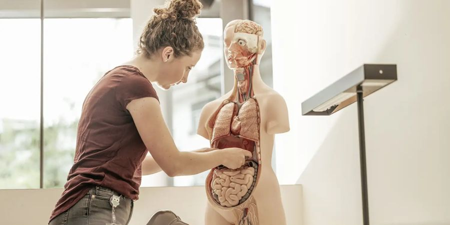 800 User in 5 Minuten, 95% weniger Aufwand – vollautomatisches Provisioning für BZ Pflege
