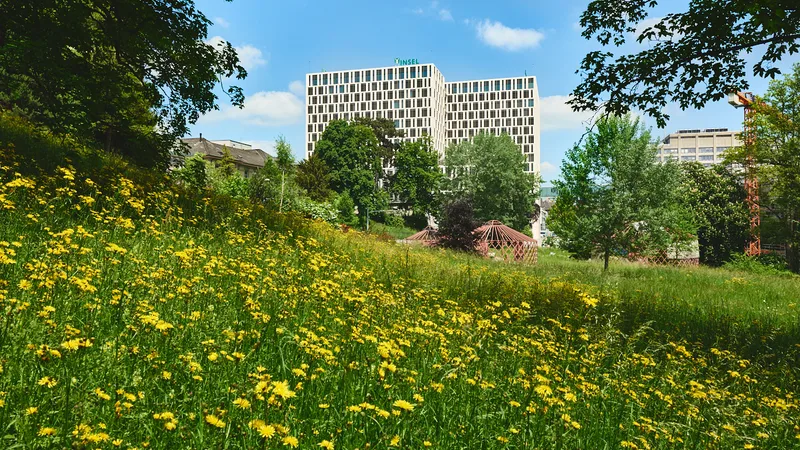 Inselspital, Universitätsspital Bern